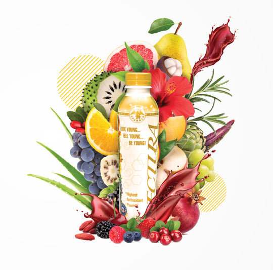 Description of Image